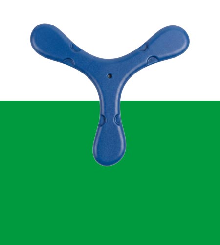 Moulded foam products