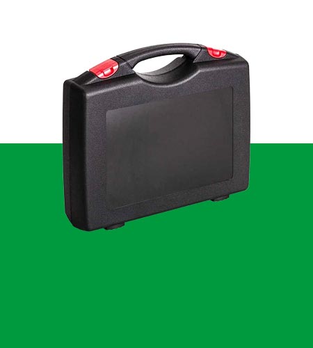 RoseCase Ergoline